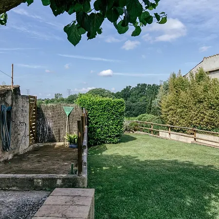 El Rebost Rural De Gat Vell * Llampaies